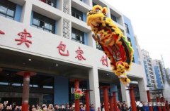 醒狮贺岁，熊猫体育-熊猫体育(中国)官方网站2019年开工大吉